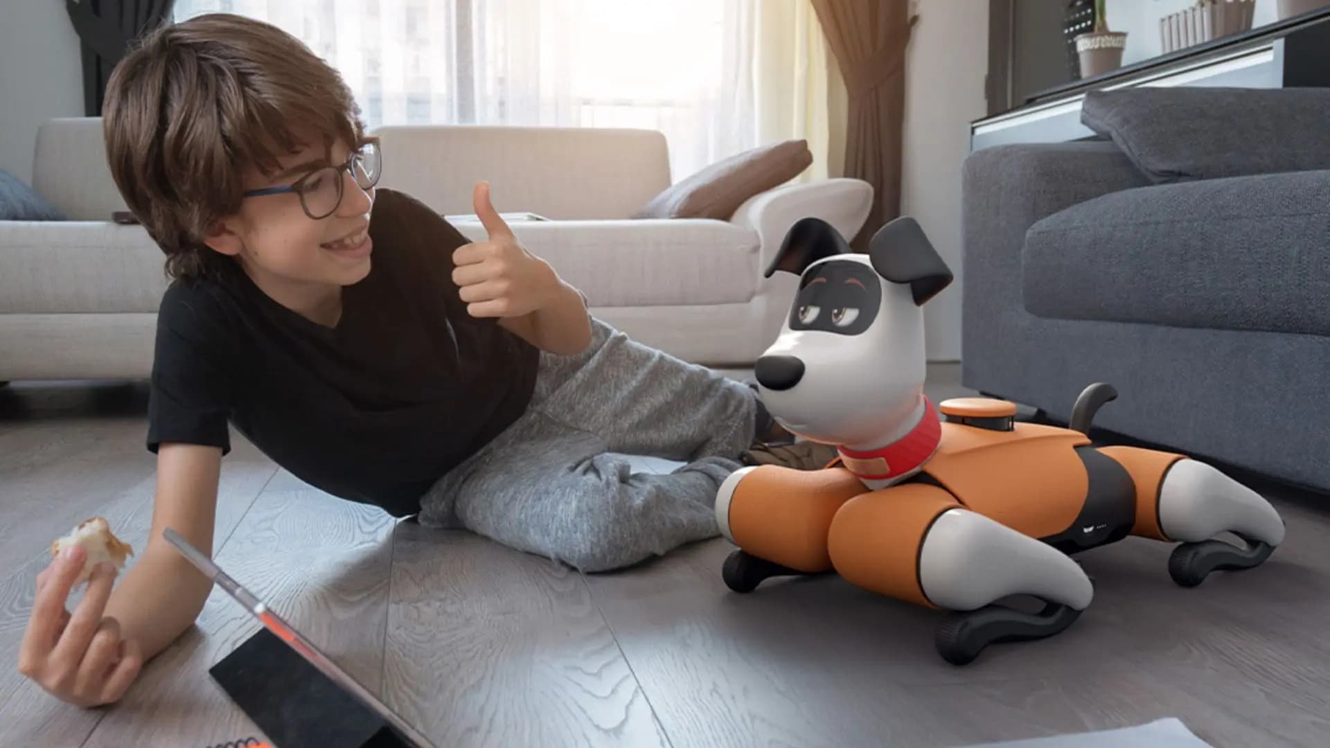 Someone using a rental robot at home